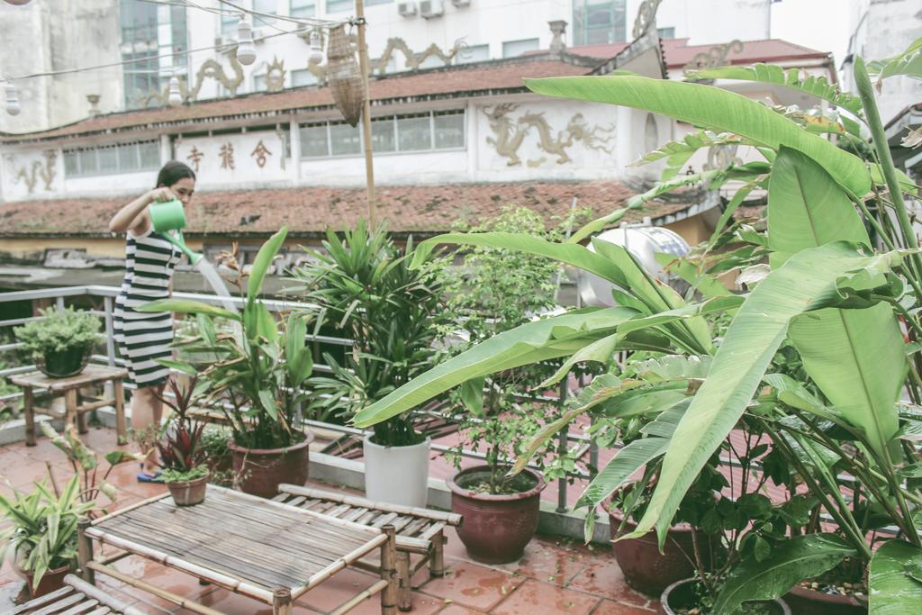 Ham Long Hidden Gem Villa Hanoi Luaran gambar