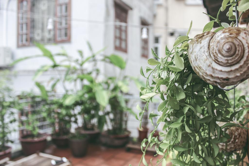 Ham Long Hidden Gem Villa Hanoi Luaran gambar